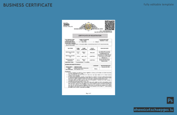 Philippinische Registrierungsurkunde (Word und PDF), Version 3 – Beispielvorschau